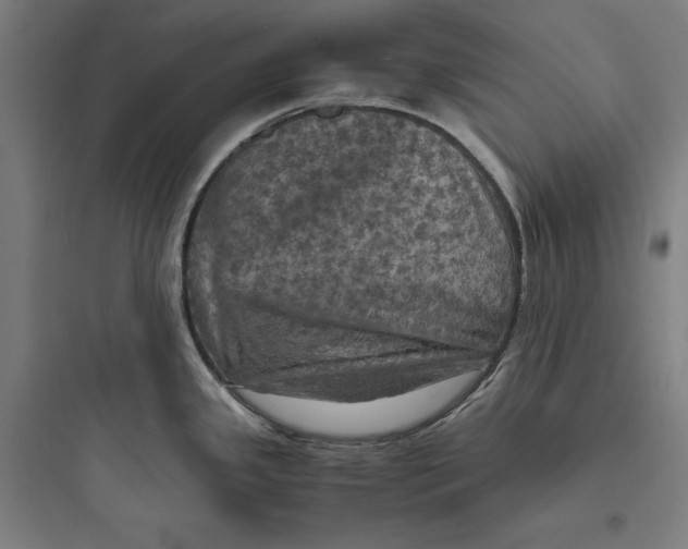 X0000093731341200711060952