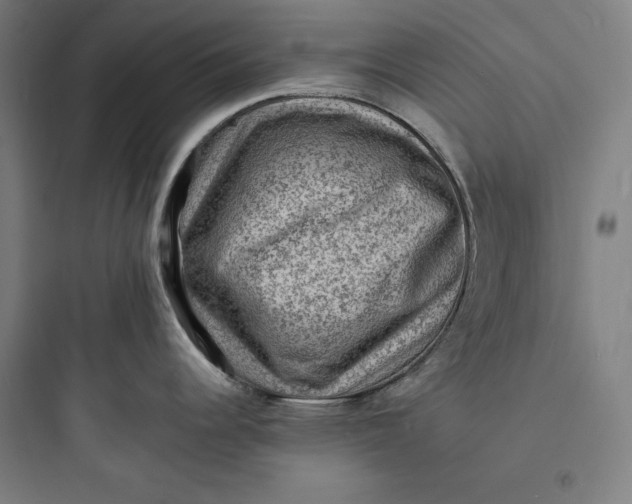 X0000093731344200711060952