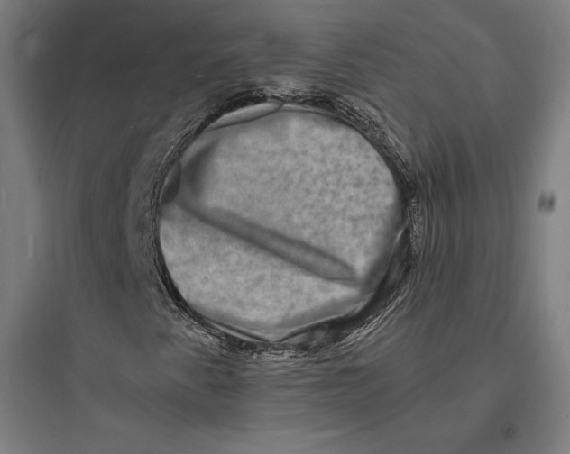 X0000093731345200711060951