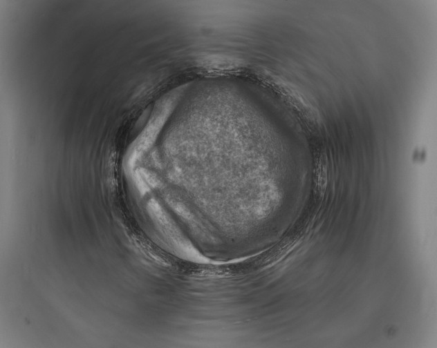 X0000093731346200711060951