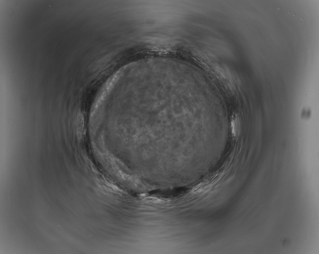 X0000093731347200711060951