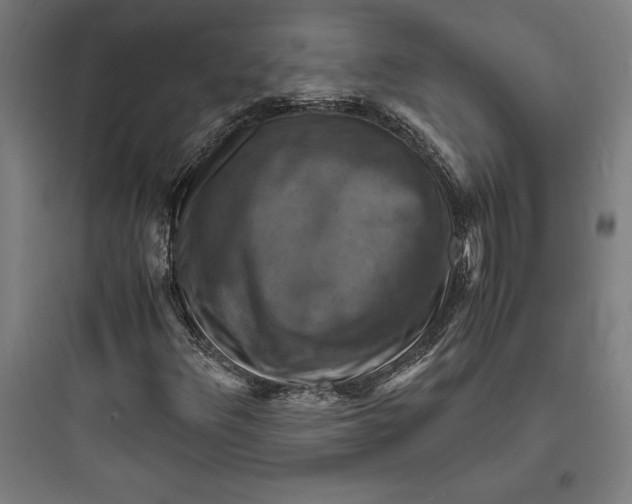 X0000093731348200711060951