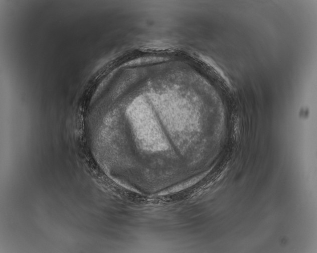 X0000093731350200711060951