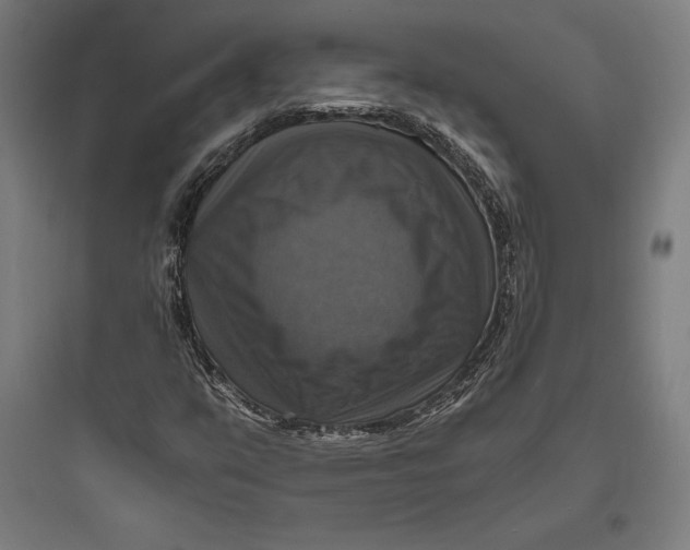 X0000093731351200711060951