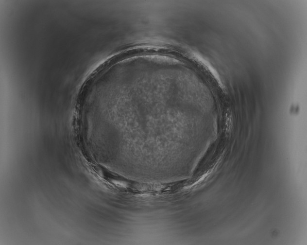 X0000093731352200711060951