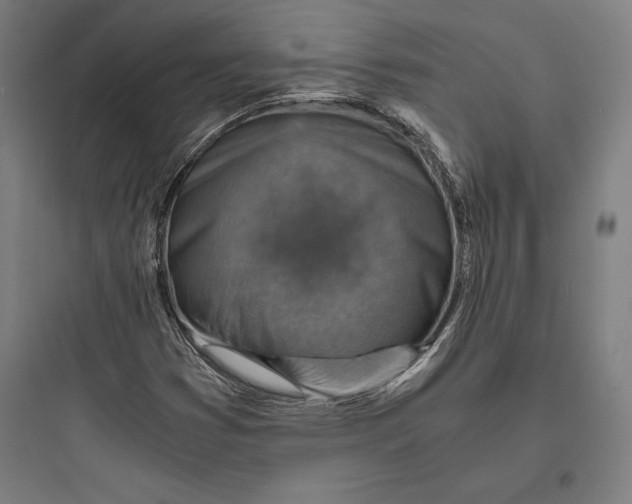 X0000093731353200711060951