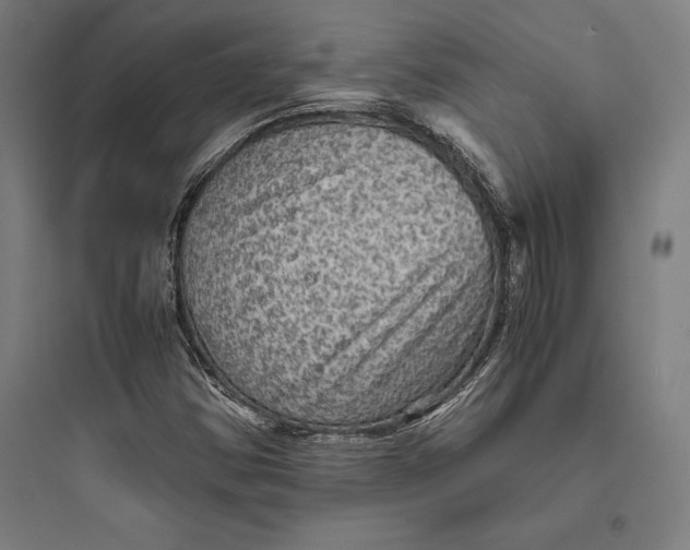 X0000093731354200711060951