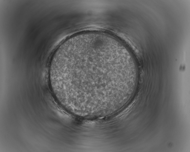 X0000093731355200711060951