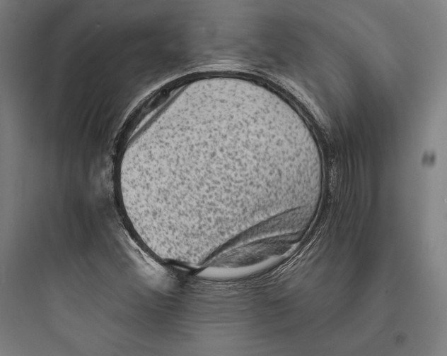 X0000093731356200711060951