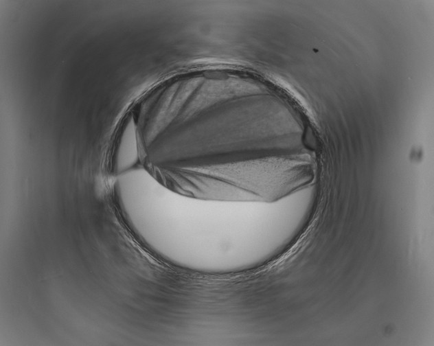 X0000093731357200711060951