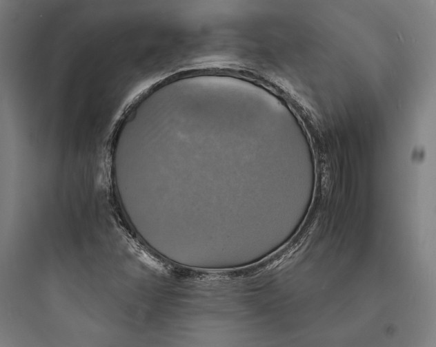 X0000093731358200711060951