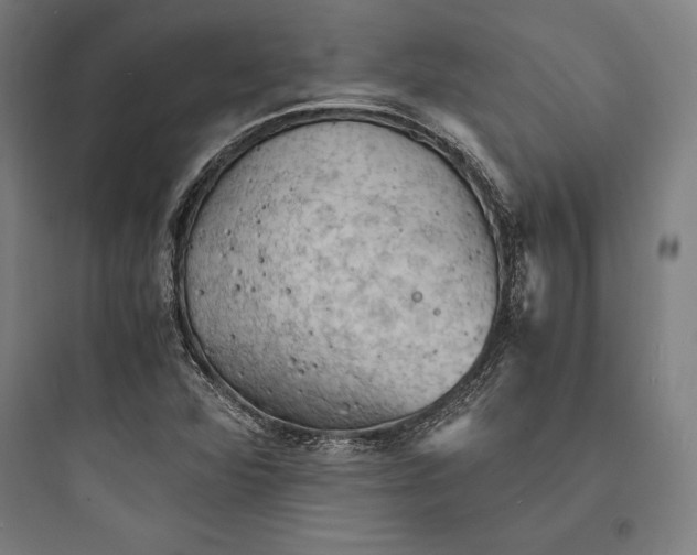 X0000093731360200711060951