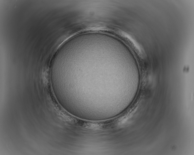 X0000093731361200711060951