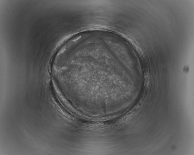 X0000093731363200711060951