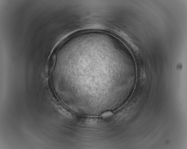 X0000093731364200711060951