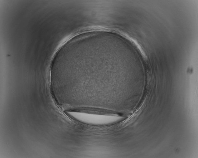 X0000093731365200711060951