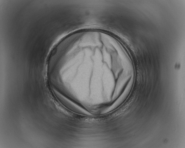 X0000093731366200711060951