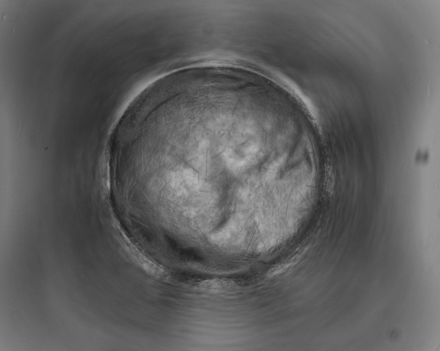 X0000093731368200711060951