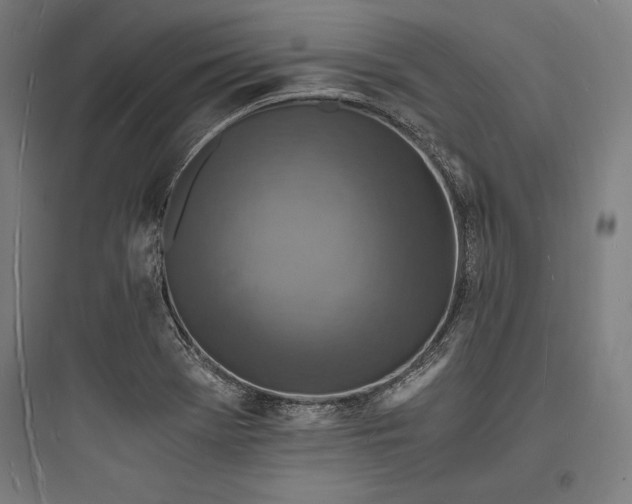 X0000093731369200711060951