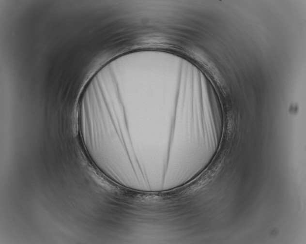 X0000093731370200711060951