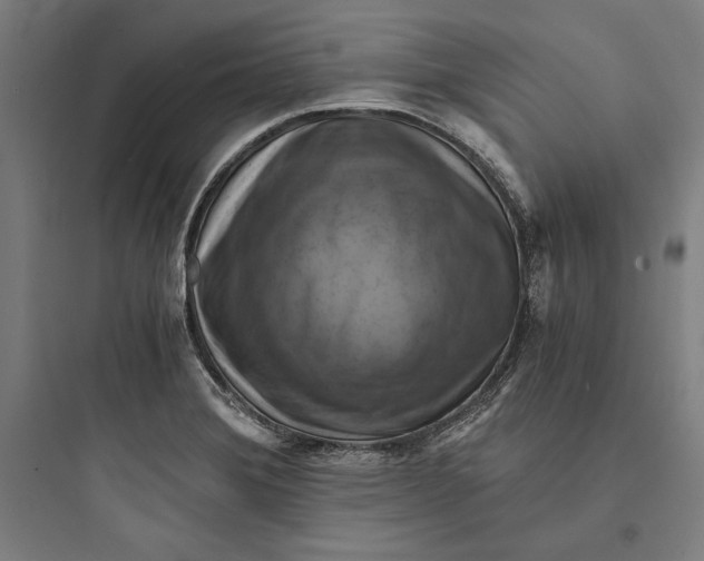 X0000093731372200711060951