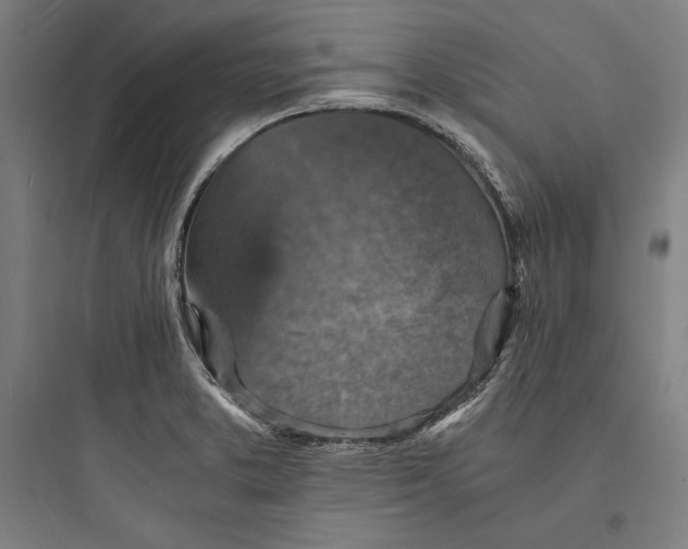 X0000093731373200711060951