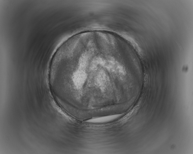 X0000093731374200711060951