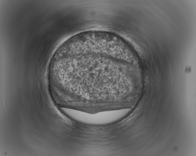 X0000093731375200711060951