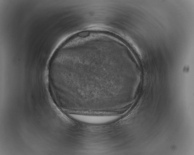 X0000093731376200711060951