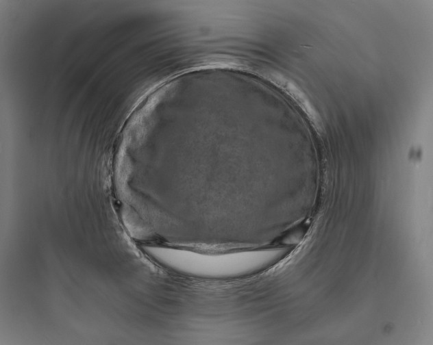 X0000093731377200711060951