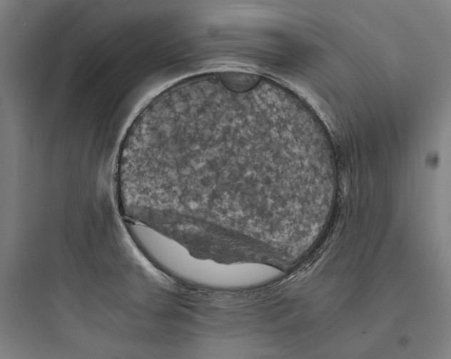 X0000093731379200711060950