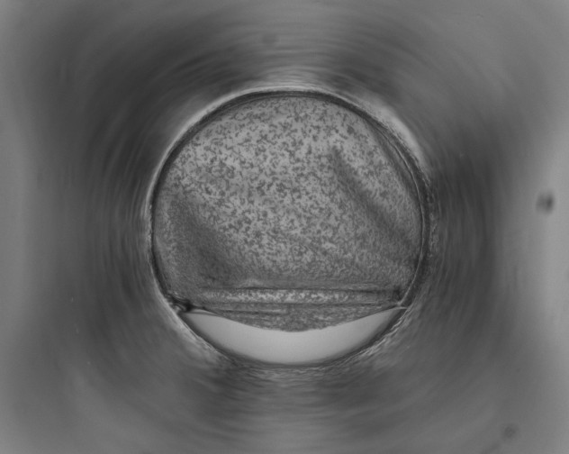 X0000093731380200711060950