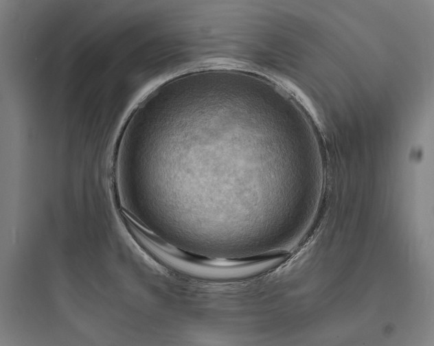 X0000093731381200711060950