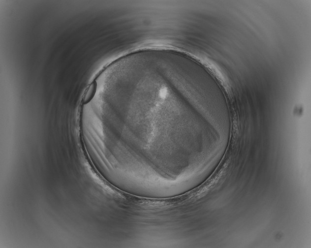 X0000093731382200711060950