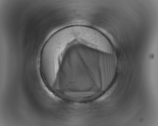 X0000093731383200711060950