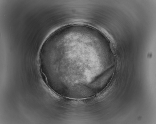 X0000093731384200711060950