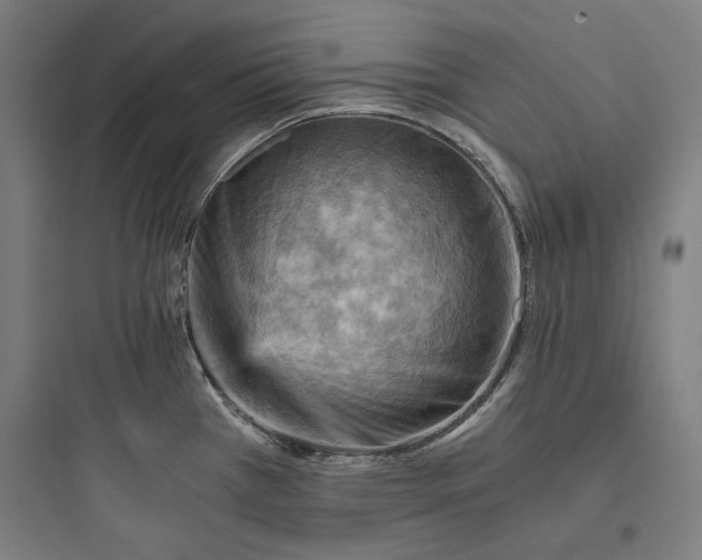 X0000093731385200711060950