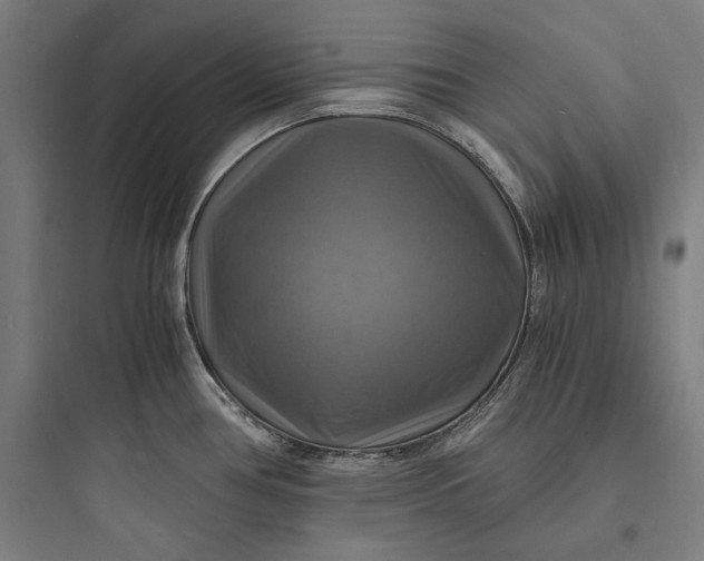 X0000093731386200711060950