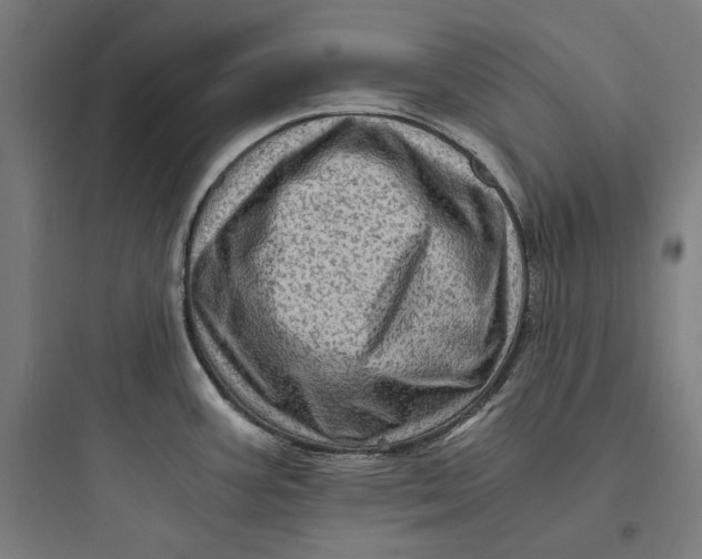 X0000093731387200711060950