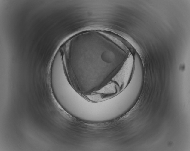 X0000093731388200711060950