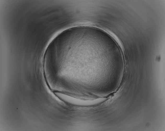 X0000093731389200711060950