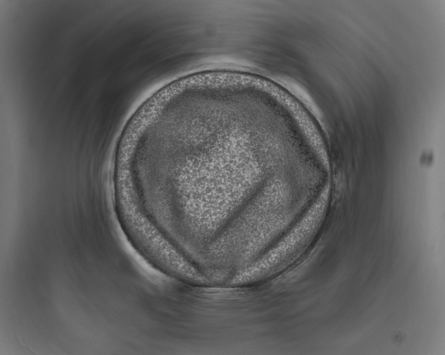 X0000093731391200711060950