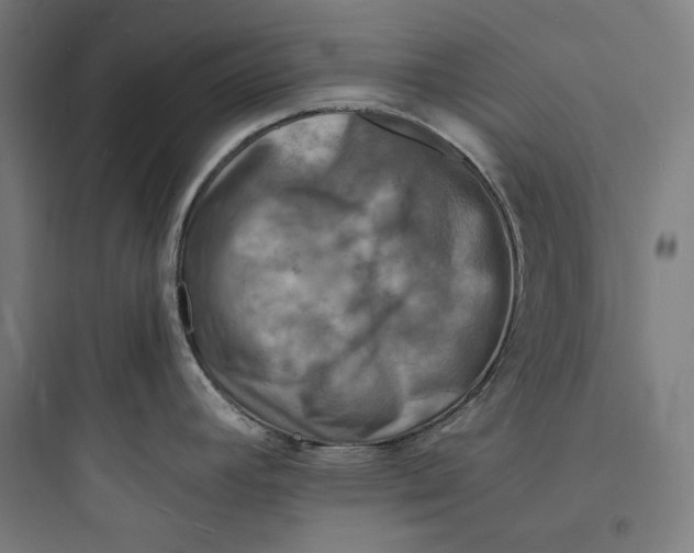 X0000093731392200711060950