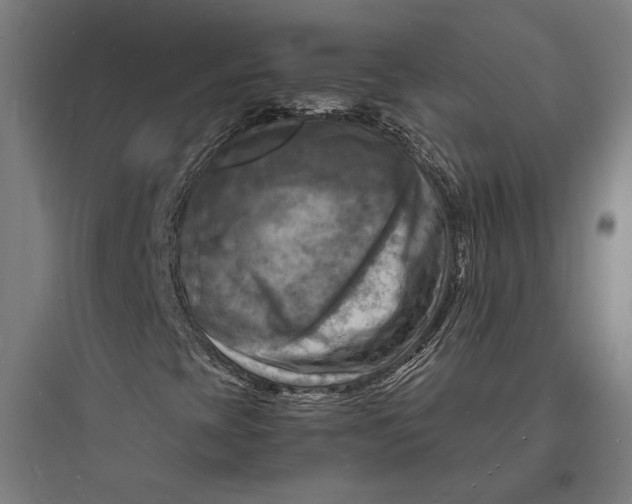 X0000093731393200711060950