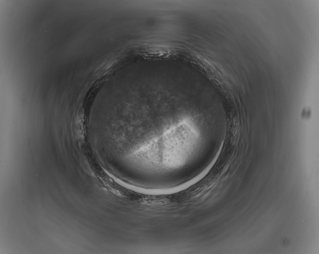 X0000093731394200711060950