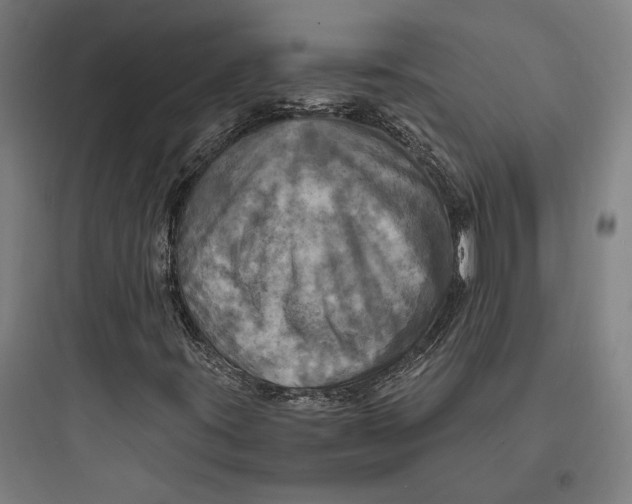 X0000093731395200711060950