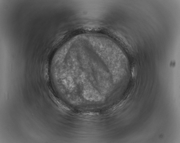 X0000093731396200711060950