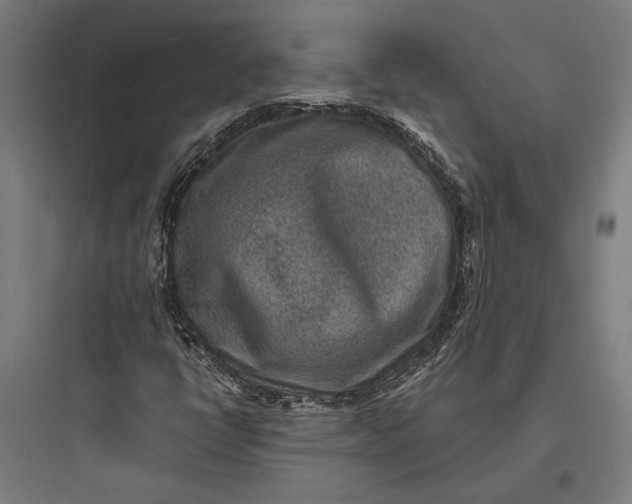 X0000093731398200711060950