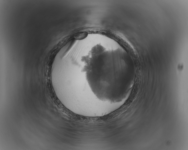 X0000093731399200711060950