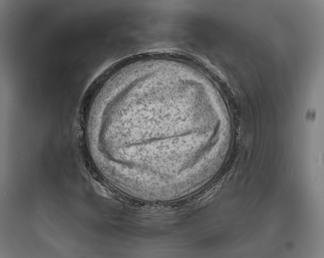 X0000093731400200711060950